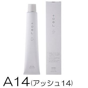 インターコスメ トエルカラー ファッションシェード A14(アッシュ14) 100g [医薬部外品]...