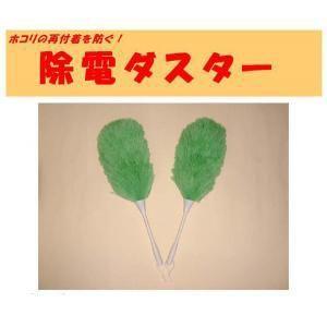 除電ダスター　2個 〜静電気除去〜