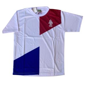 2013-2014年モデル インテル（アウェイ：白）ユニフォームトップス