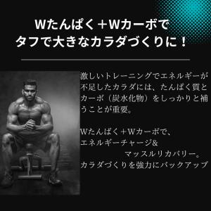 ケンタイ ウェイトゲインアドバンス ミルクチョ...の詳細画像3