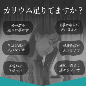 カリウム サプリ 【売上世界No1】 カリウム...の詳細画像4