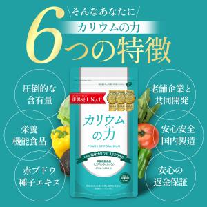 カリウム サプリ 【売上世界No1】 カリウム...の詳細画像5