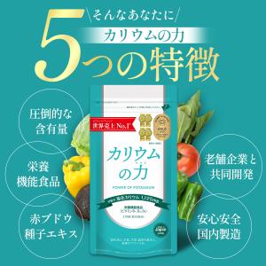 カリウム サプリ 【3年連絡売上世界No1】 ...の詳細画像5