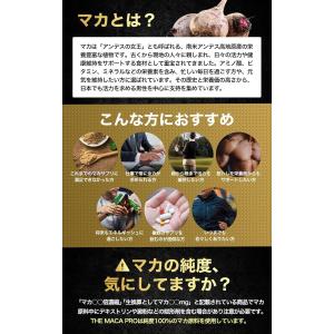 マカ 350倍濃縮 サプリ 【日本初・医師監修...の詳細画像5