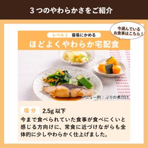 介護 食 高齢者 食事 高齢者食 冷凍弁当 冷...の詳細画像3