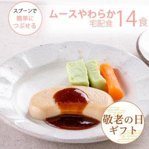 父の日 ギフト プレゼント やわらか食 カロリー塩分控えめ ムースやわらか宅配食14食セット 50代 60代 70代 80代 2024