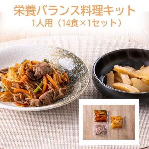 料理キット カロリー塩分控えめ 栄養バランスキット1人用（14食×1セット）｜wellness-dining