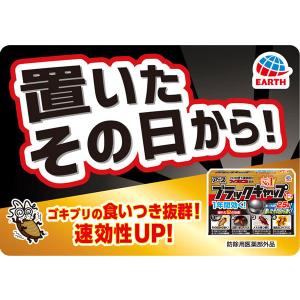 アース製薬 ブラックキャップ (12個入) 【...の詳細画像1