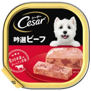 マースジャパン シーザー トレイ 成犬用 吟選ビーフ (100g) ドッグフード ウェット
