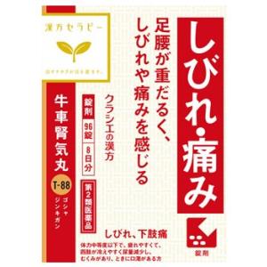 【第2類医薬品】クラシエ薬品　「クラシエ」漢方　牛車腎気丸料　エキス錠　(96錠)｜wellness-web