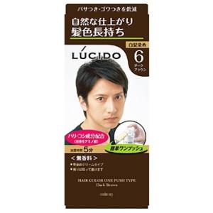 マンダム　ルシード　ワンプッシュケアカラー　6　ダークブラウン　男性用　白髪染め　【医薬部外品】｜wellness-web