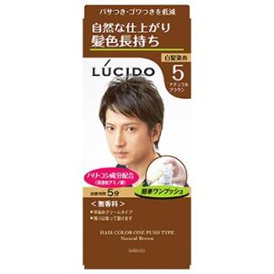 マンダム　ルシード　ワンプッシュケアカラー　5　ナチュラルブラウン　男性用　白髪染め　【医薬部外品】｜wellness-web