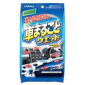 晴香堂 カーオール 車まるごとウェット 2008 (30枚入) 車用マルチクリーナー カークリーナー｜wellness-web