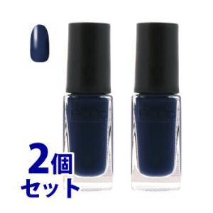 《セット販売》　コーセー　ネイルホリック　BL905　(5mL)×2個セット　ネイルカラー　NAILHOLIC｜wellness-web