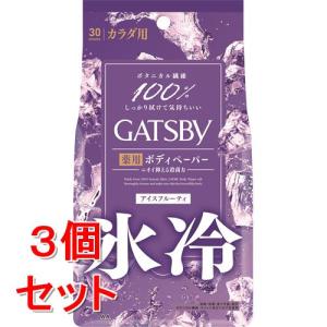 GATSBY ギャツビー 氷冷 ボディペーパー フィグの香り 12枚入り 岩手