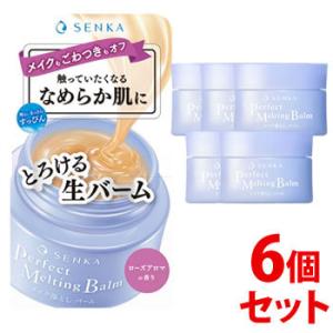 《セット販売》　ファイントゥデイ 専科 洗顔専科 パーフェクトメルティングバーム (90g)×6個セット メイク落とし クレンジングバーム｜wellness-web