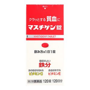 【第2類医薬品】日本臓器製薬 マスチゲン錠 (1...の商品画像