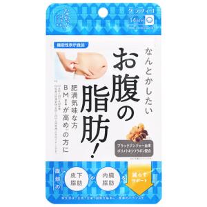 グラフィコ なかったコトに！ なんとかしたい お腹の脂肪！ 14日分 (28粒) 機能性表示食品　※軽減税率対象商品｜wellness-web