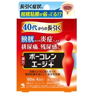 【第2類医薬品】小林製薬 ボーコレンエージ＋ プラス 4日分 (60錠) 猪苓湯合四物湯錠 膀胱 排尿痛 残尿感｜wellness-web