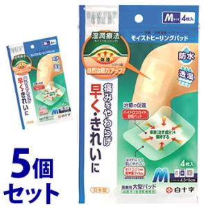 ハイドロコロイド絆創膏 フリーサイズ ( 3枚入*10個セット ) : 爽快