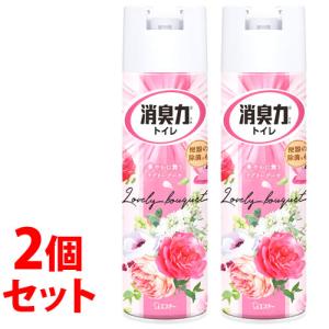 《セット販売》　エステー 消臭力 トイレ用スプレー ラブリーブーケ (365mL)×2個セット トイレ用 消臭・芳香剤