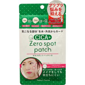 キュレル 潤浸保湿 パウダーバーム ( 34g )/ 乾燥肌 セラミド