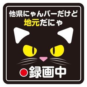 県外ナンバーステッカー 他県 マグネット 県内在住 コロナ対策 都道府県 いたずら防止 磁石 ヨコ12cm タテ12cm ネコ 録画中 Taken 011 ココ Deマンド 通販 Yahoo ショッピング