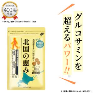 送料込 世田谷自然食品 グルコサミン+コンドロイチン 240粒 約1 送料込 世田谷自然食品 グルコサミン+コンドロイチン 240粒 約1
