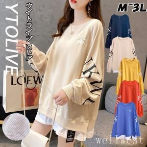 トップス レディース Ｔシャツ 長丈 レイヤード 刺繍 ロングT 体型カバー レイヤード風ロングＴシャツ 母の日