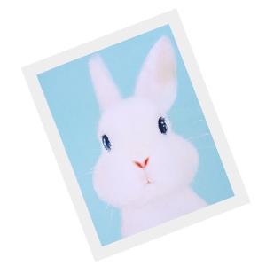 ウサギの絵の商品一覧 通販 Yahoo ショッピング