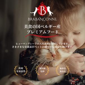 ブラバンソンヌ シニア猫 用 キャットフード ...の詳細画像5
