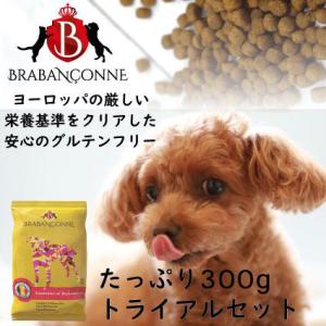 ペットライン ドクターズケア 犬 ストマックケア 低脂肪 3kg （500g×6