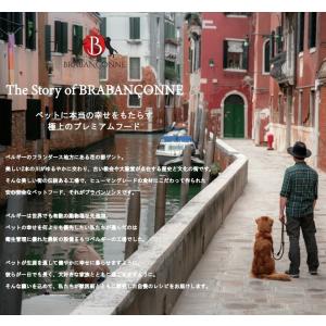 アウトレット セール 賞味期限間近:2026年...の詳細画像4