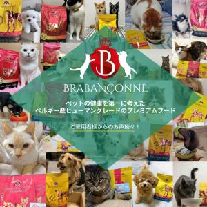 アウトレット セール 賞味期限間近:2026年...の詳細画像2