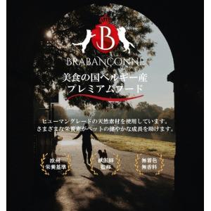 アウトレット セール 賞味期限間近:2026年...の詳細画像5