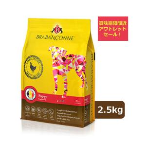 【新品、未開封】ブラバンソンヌ　チキン　１kg　２袋 BRABANCONNE（ブラバンソンヌ） アウトレット セール 賞味期限間近
