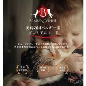 アウトレット セール 賞味期限間近:2026年...の詳細画像5
