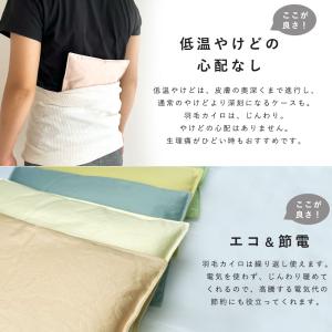 羽毛のカイロ 貼らない エコ 洗える プレママ...の詳細画像5