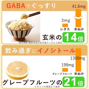 ぬかっち 食べる米ぬか パウダー お試しセット...の詳細画像4