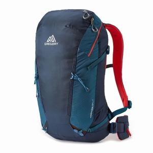 GREGORY（グレゴリー） GREGORY 121129 ターギー32 サイズMD カラー