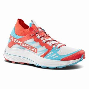 レヴァンテ　LASPORTIVA（ラ・スポルティバ）（レヴァンテ）-ハイビスカスMブル｜west-shop