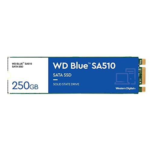 Western Digital 250GB WD Blue SA510 SATA 内蔵ソリッドステー...