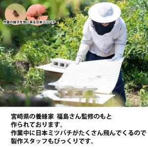 日本蜜蜂 蜜蝋 誘引剤 1個 約33g 手に持...の詳細画像5