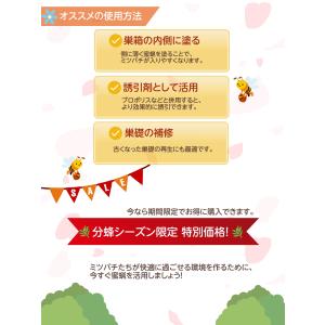 日本蜜蜂 蜜蝋 誘引剤 3個セット 約100g...の詳細画像2