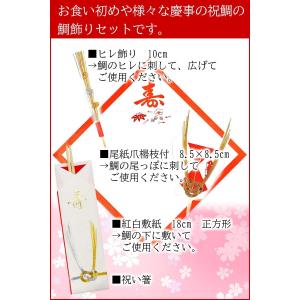 お食い初め 歯固め 小鯛 飾り お食い初めセッ...の詳細画像2