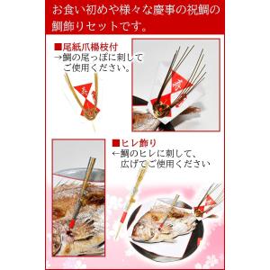 お食い初め 歯固め 小鯛 飾り お食い初めセッ...の詳細画像3