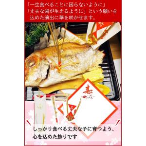 お食い初め 歯固め 小鯛 飾り お食い初めセッ...の詳細画像5