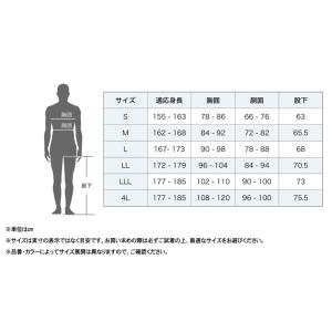 阪神素地ハンシンキジ RA51 ジャケット レ...の詳細画像4