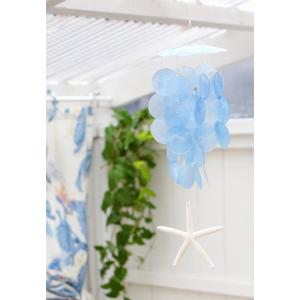 TMC ゼリーフィッシュオーナメント