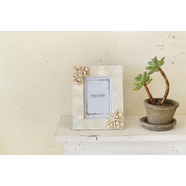 TMC カピスシェルフォトフレーム